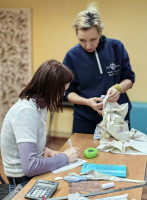 Галерея №ftwbcuaj